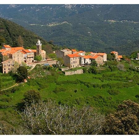 Casadimela Villa Porto-Vecchio  Eksteriør billede